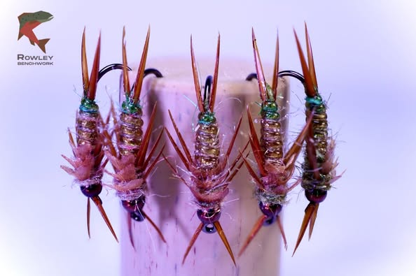 Jeff Rowley's Stonfly Nymphs