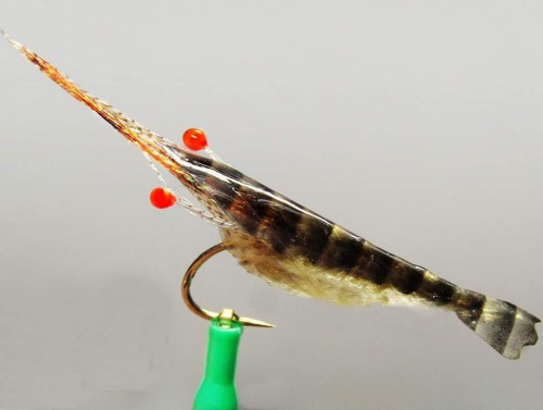 SemperSkin Shrimp Medium (Hook #6)